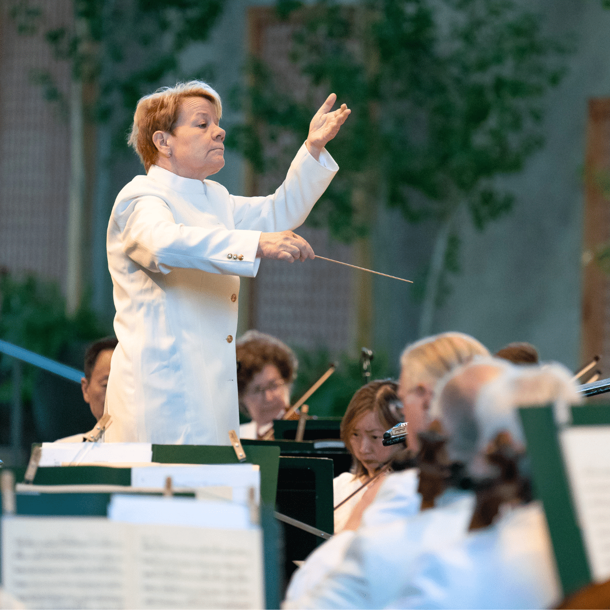 Mozart Violin Concerto